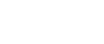 Partner Asseco